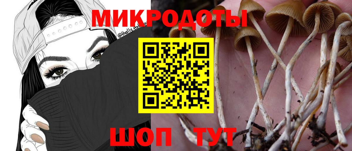 Галлюциногенные грибы MAGIC MUSHROOMS Каменск-Уральский